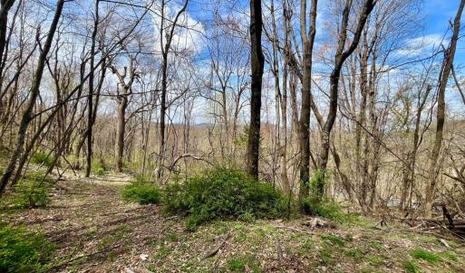 Photo #12 of HILLSIDE DR., STANLEY, VA 3.0 acres