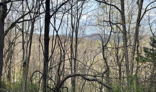 Photo #3 of HILLSIDE DR., STANLEY, VA 3.0 acres