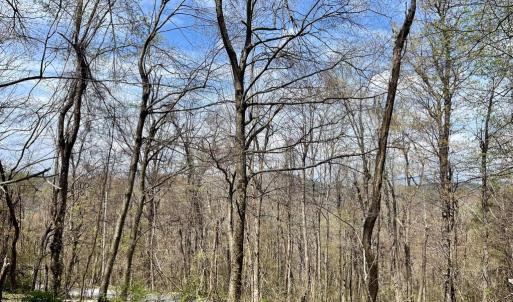 Photo #13 of HILLSIDE DR., STANLEY, VA 3.0 acres