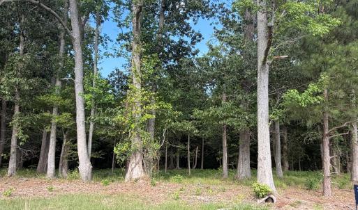 Photo #4 of 506 Batchelor Bay, Windsor, NC 1.1 acres