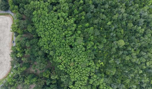 Photo #3 of 506 Batchelor Bay, Windsor, NC 1.1 acres