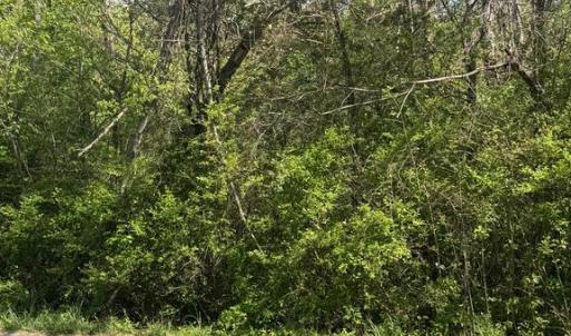 Photo #1 of DUEY, REMINGTON, VA 3.7 acres