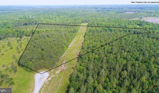 Photo #1 of 13251 BROOKE RIDGE LN, SPOTSYLVANIA, VA 40.3 acres
