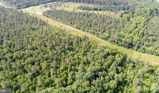 Photo #3 of 13251 BROOKE RIDGE LN, SPOTSYLVANIA, VA 40.3 acres