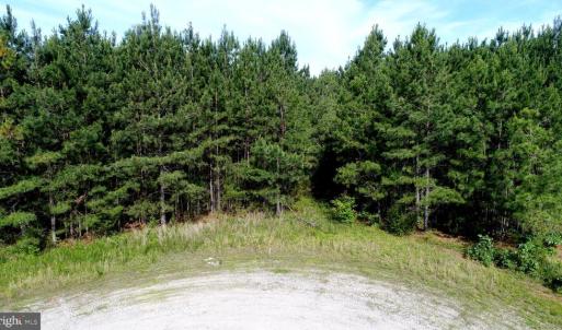 Photo #11 of 13251 BROOKE RIDGE LN, SPOTSYLVANIA, VA 40.3 acres