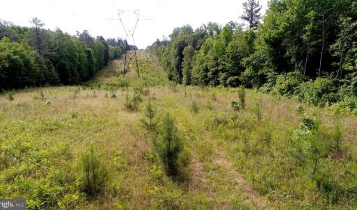 Photo #14 of 13251 BROOKE RIDGE LN, SPOTSYLVANIA, VA 40.3 acres