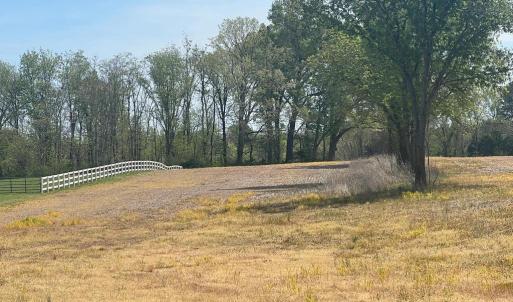 Photo #1 of LANGHORNE, SCOTTSVILLE, VA 54.9 acres