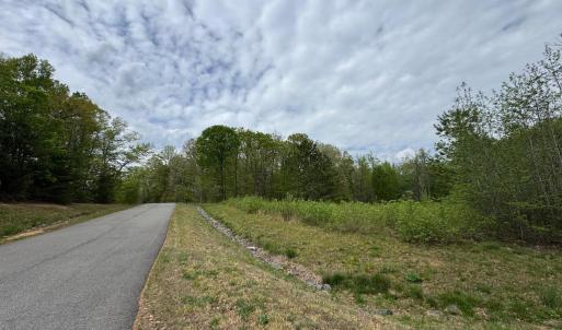 Photo #8 of ARK AVE, BUMPASS, VA 0.7 acres