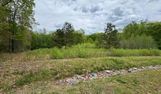 Photo #12 of ARK AVE, BUMPASS, VA 0.7 acres