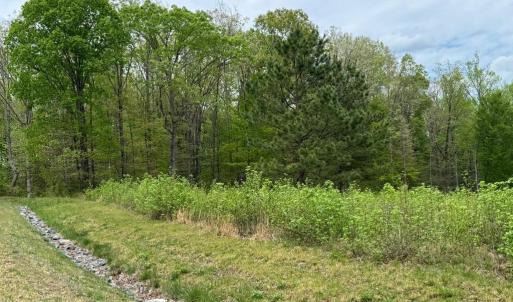 Photo #2 of ARK AVE, BUMPASS, VA 0.7 acres