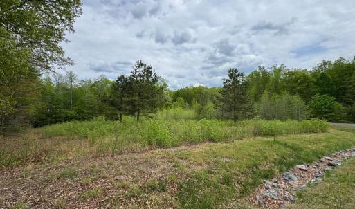 Photo #13 of ARK AVE, BUMPASS, VA 0.7 acres