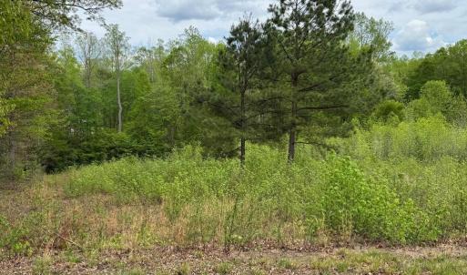 Photo #14 of ARK AVE, BUMPASS, VA 0.7 acres