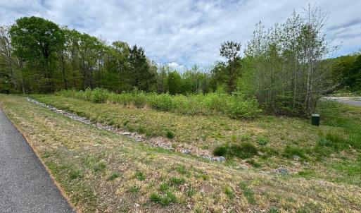 Photo #15 of ARK AVE, BUMPASS, VA 0.7 acres
