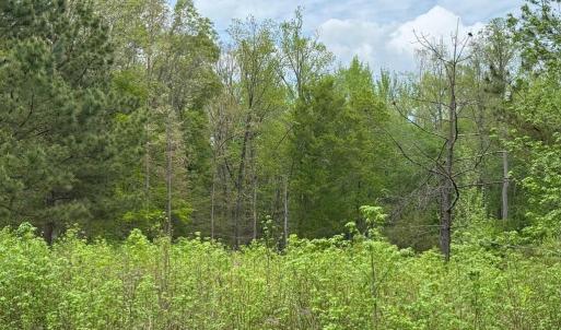 Photo #10 of ARK AVE, BUMPASS, VA 0.7 acres