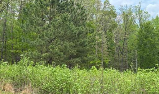 Photo #11 of ARK AVE, BUMPASS, VA 0.7 acres