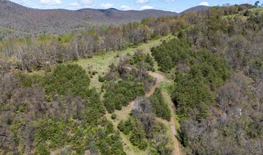 Photo #10 of JOLLETT RD, ELKTON, VA 18.0 acres