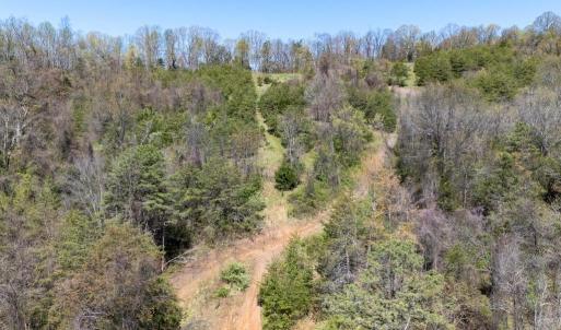 Photo #11 of JOLLETT RD, ELKTON, VA 18.0 acres