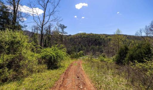 Photo #18 of JOLLETT RD, ELKTON, VA 18.0 acres