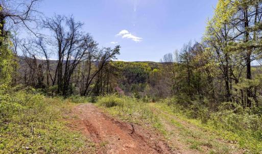 Photo #22 of JOLLETT RD, ELKTON, VA 18.0 acres