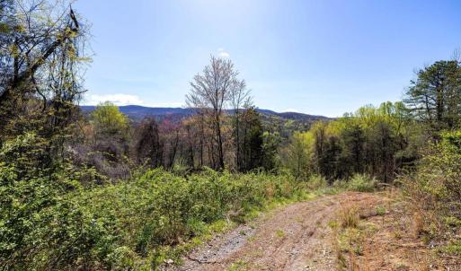Photo #27 of JOLLETT RD, ELKTON, VA 18.0 acres