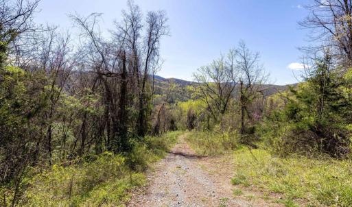 Photo #28 of JOLLETT RD, ELKTON, VA 18.0 acres