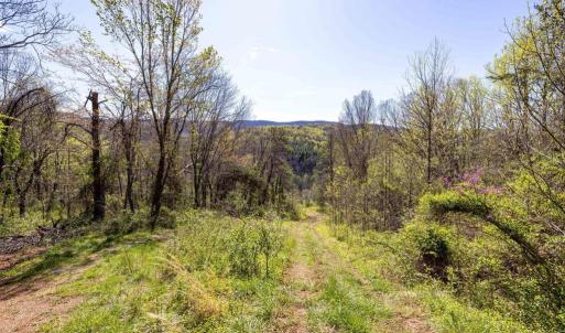 Photo #24 of JOLLETT RD, ELKTON, VA 18.0 acres