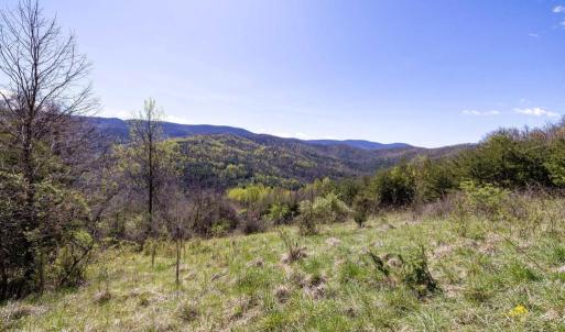 Photo #31 of JOLLETT RD, ELKTON, VA 18.0 acres