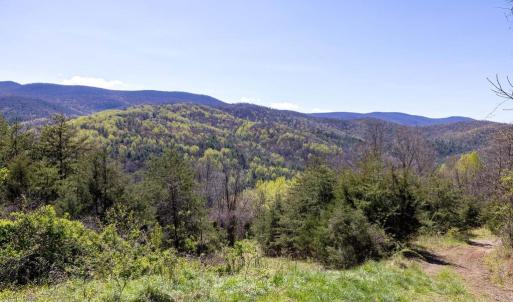 Photo #33 of JOLLETT RD, ELKTON, VA 18.0 acres