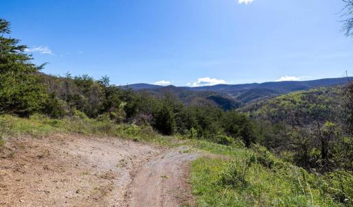 Photo #34 of JOLLETT RD, ELKTON, VA 18.0 acres