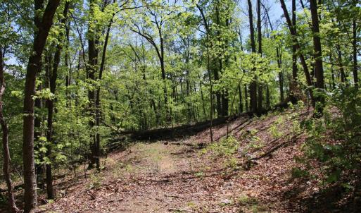 Photo #2 of N EGYPT BEND RD, LURAY, VA 40.4 acres