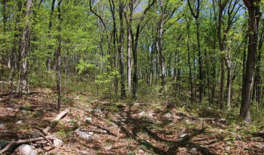 Photo #5 of N EGYPT BEND RD, LURAY, VA 40.4 acres