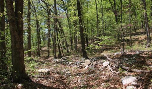 Photo #6 of N EGYPT BEND RD, LURAY, VA 40.4 acres