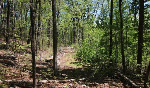 Photo #13 of N EGYPT BEND RD, LURAY, VA 40.4 acres
