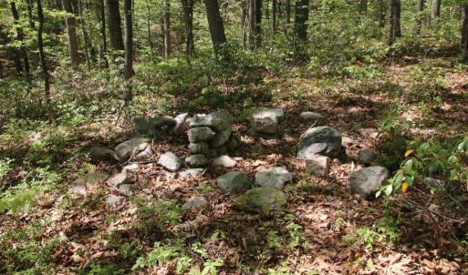 Photo #15 of N EGYPT BEND RD, LURAY, VA 40.4 acres
