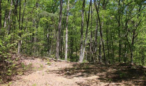 Photo #20 of N EGYPT BEND RD, LURAY, VA 40.4 acres