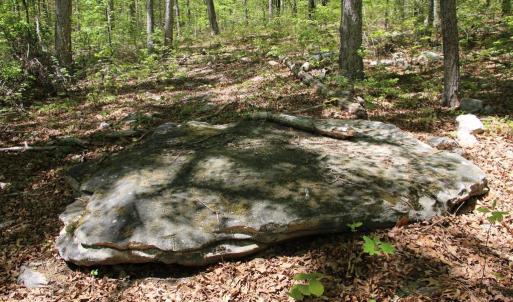 Photo #23 of N EGYPT BEND RD, LURAY, VA 40.4 acres