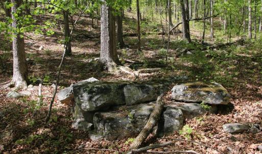Photo #24 of N EGYPT BEND RD, LURAY, VA 40.4 acres