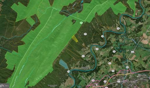 Photo #29 of N EGYPT BEND RD, LURAY, VA 40.4 acres