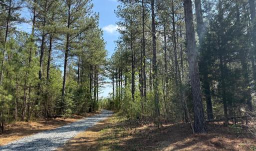 Photo #1 of  30.0 acres