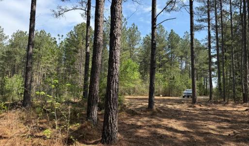 Photo #2 of  30.0 acres