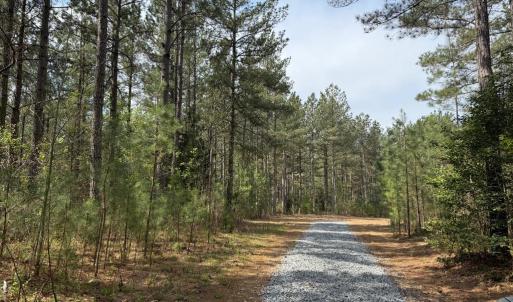 Photo #5 of  30.0 acres