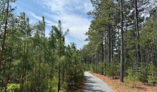 Photo #6 of  30.0 acres