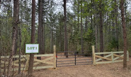Photo #9 of  30.0 acres