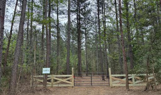 Photo #12 of  30.0 acres