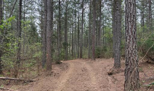 Photo #15 of  30.0 acres