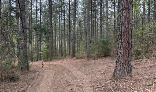 Photo #16 of  30.0 acres