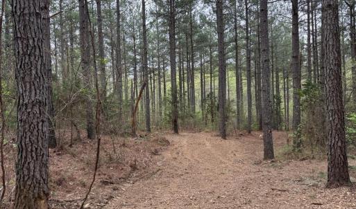 Photo #17 of  30.0 acres