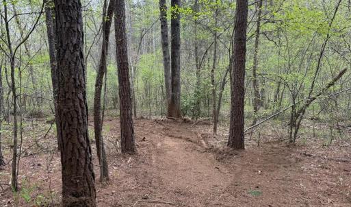 Photo #18 of  30.0 acres