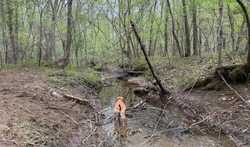 Photo #21 of  30.0 acres