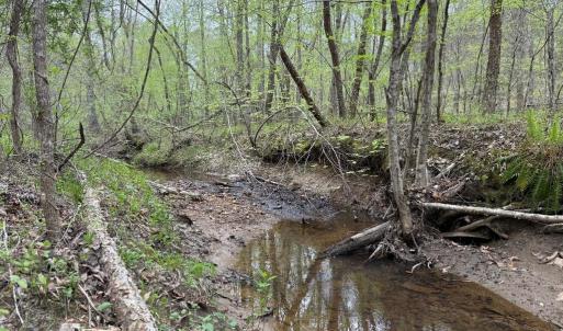 Photo #23 of  30.0 acres
